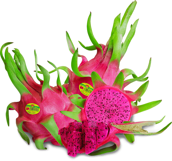 Thanh Long Tím Hồng