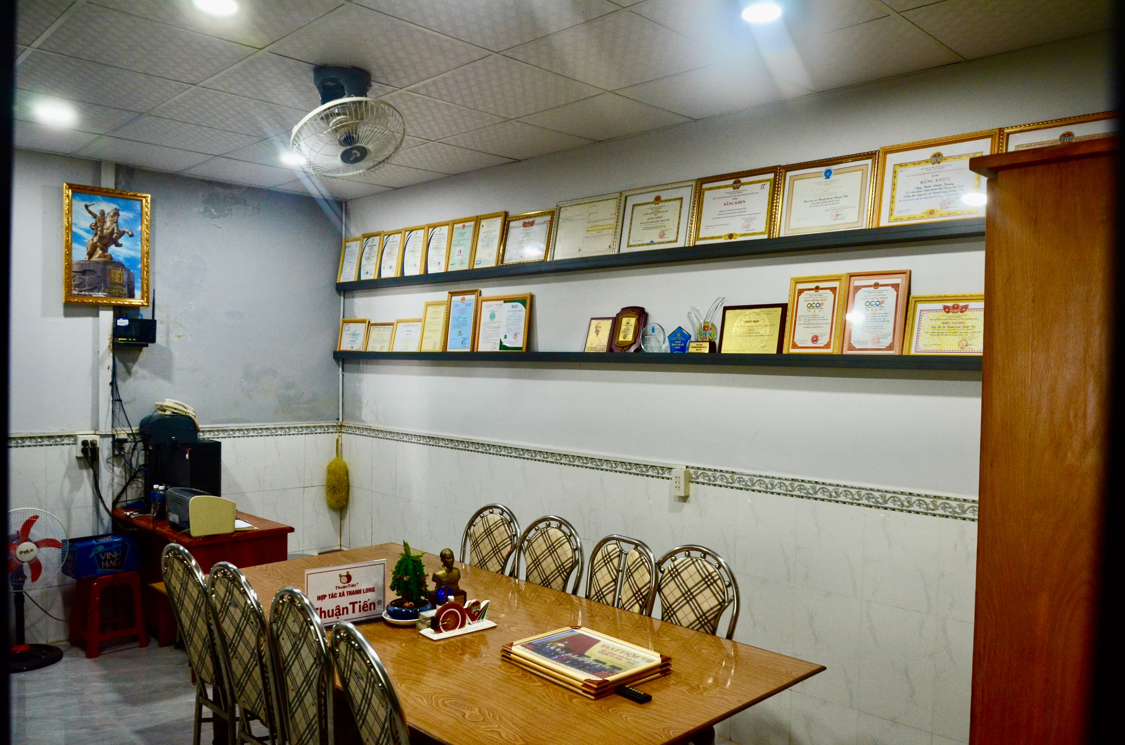 Dragon fruit harvest at Thuận Tiến farm, Bình Thuận Vietnam